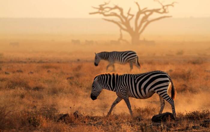 Kenya