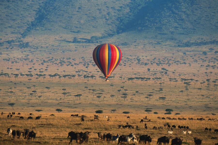 Travel to Kenya